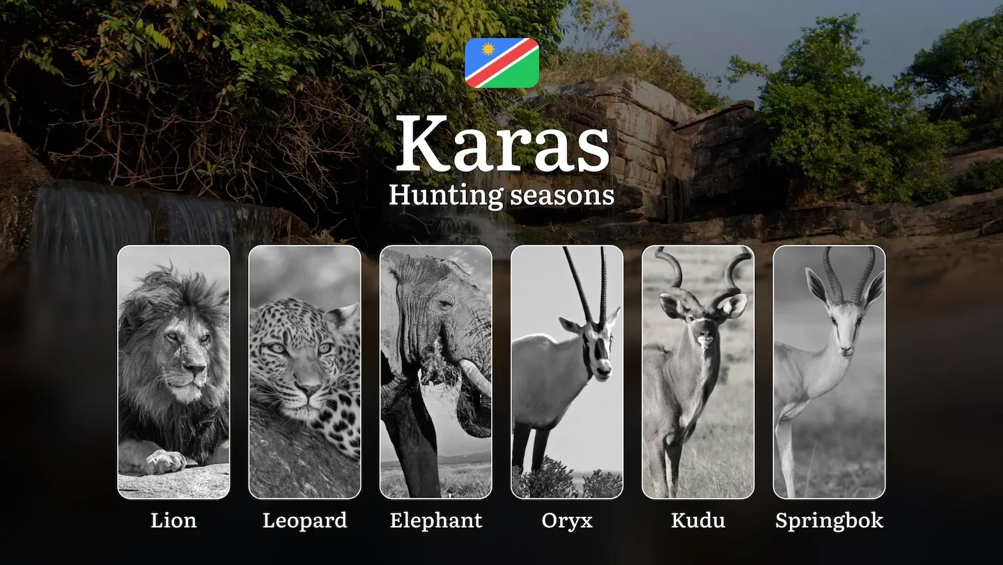 Seasonal Hunting Periods in Karas, Namibia: Year-Round Species Access, Game Activity by Season, and Getting Legal Permis…