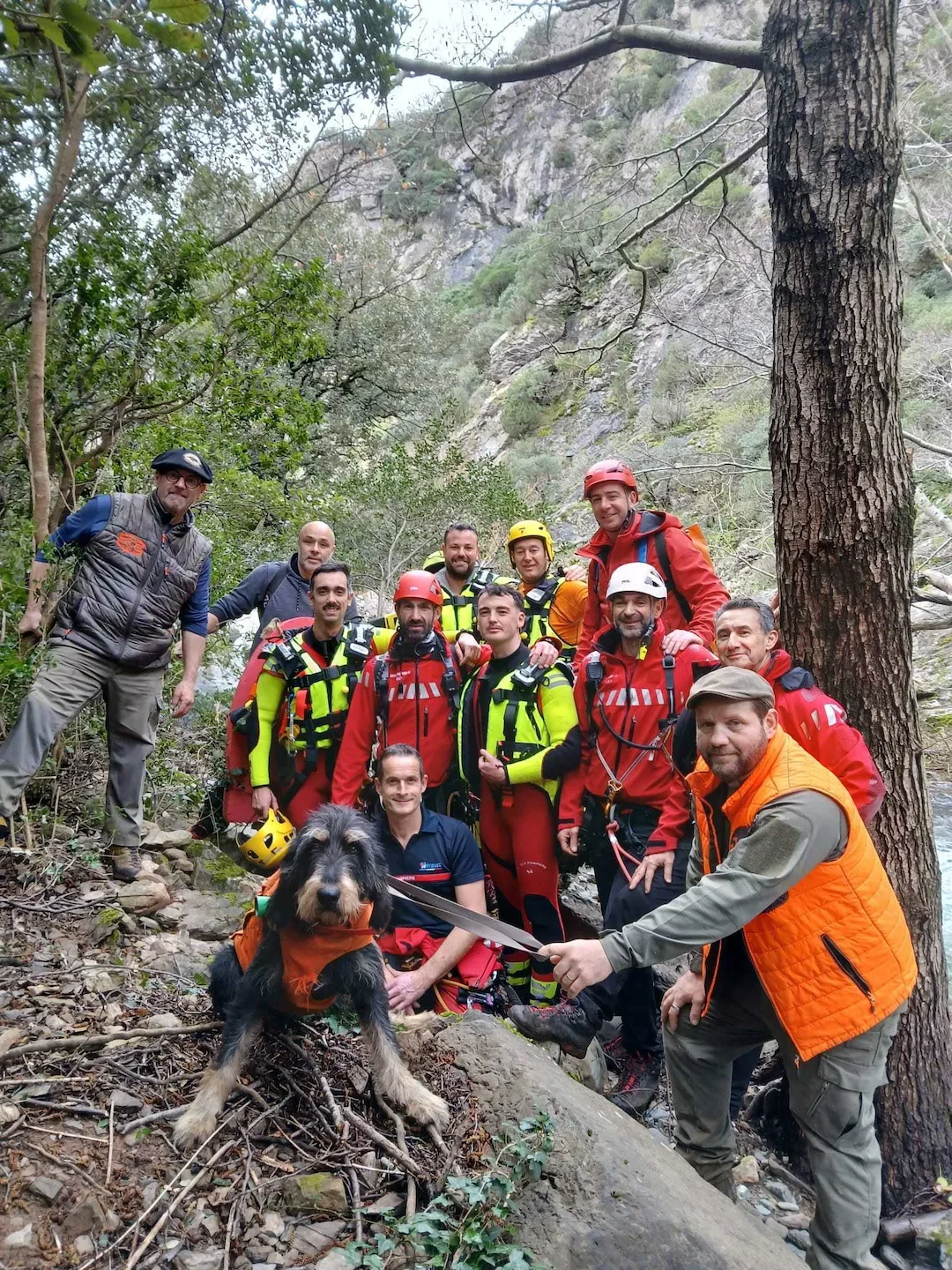 Hérault: une chienne de chasse sauvée après une nuit coincée sur une paroi rocheuse