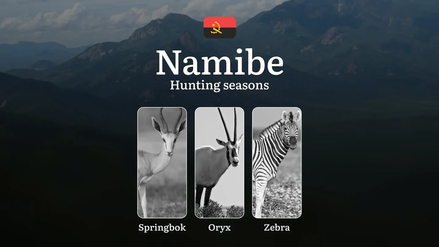 Hunting Laws and Seasons in Namibe: General Hunting Rules, Permits, Restrictions & Time-Honored Events