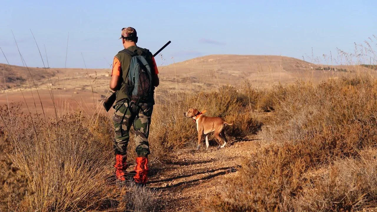 Tunisia Hunting Season 2025/2026: Official Dates, Species & Fees for Hunters