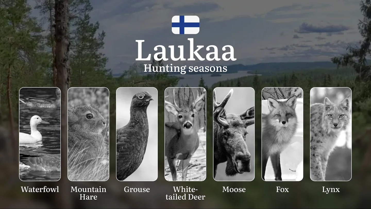 Hunting Seasons in LAUKAA: Key Regulations, Optimal Hunting Periods, Licensing Requirements and Consequences of Non-Comp…