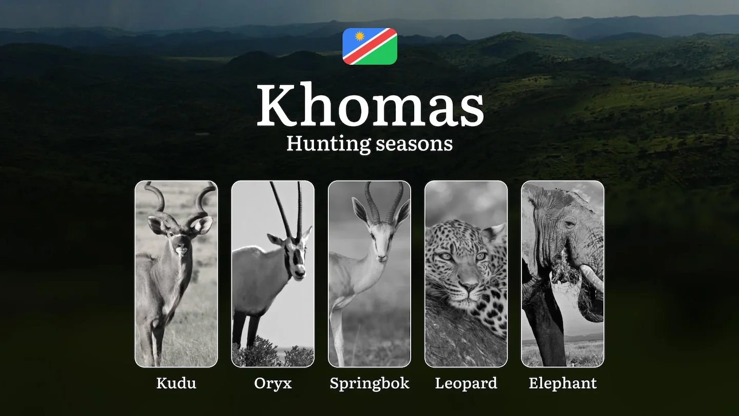 Khomas: Hunting Dates, Species Availability, Seasonal Restrictions, License, Possible Fines, Advice from Hunters, Time P…
