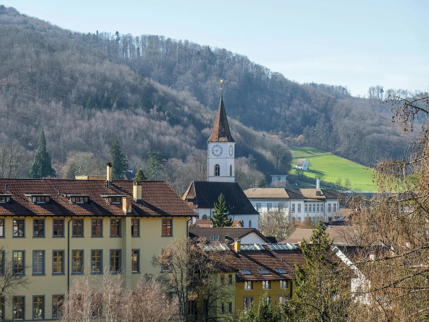 Jagd Aargau 2026: Neuverpachtung und Jagdstatistik im Fokus