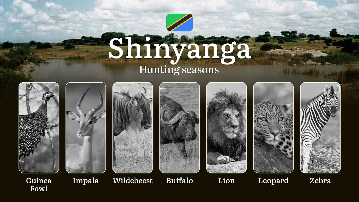 Shinyanga: Hunting Timeframes, Species and Seasonal Bans, Participating in the Hunt, Getting Licensed, Penalties That Ma…