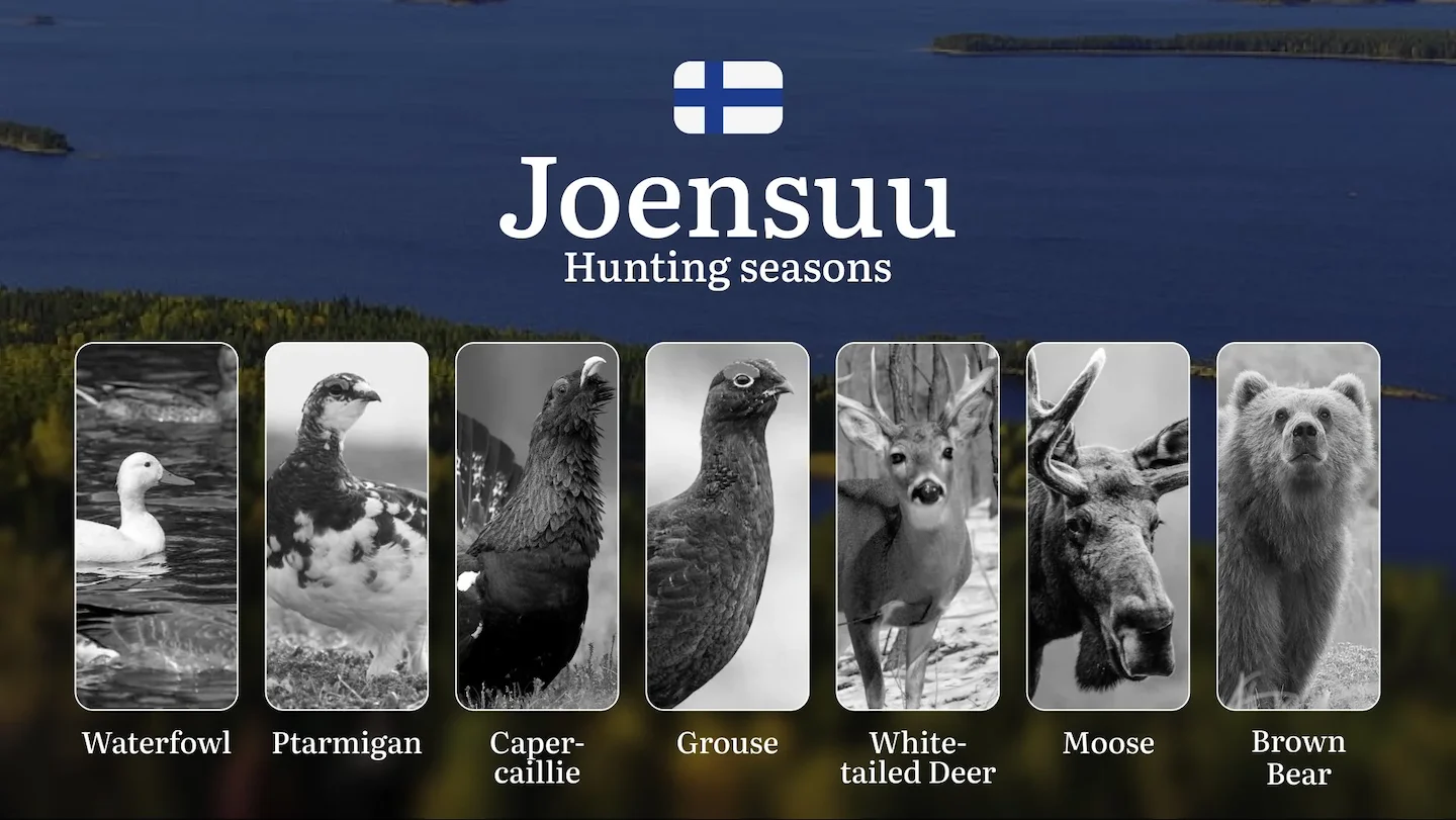 Hunting Seasons in JOENSUU: Key Dates, Game Activity, Restrictions, Required Licenses and Expert Tips