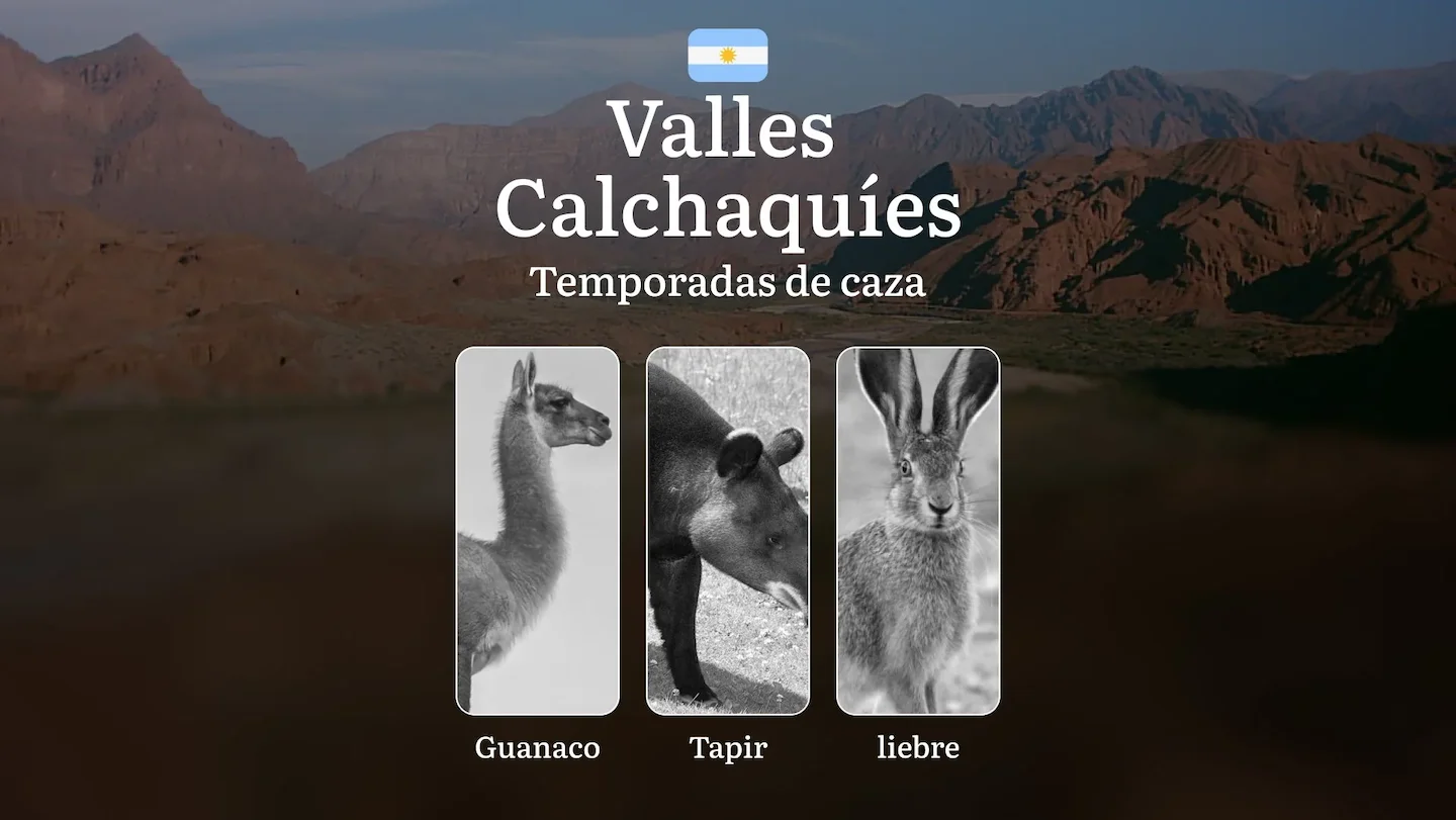 Temporadas de caza en Argentina: región Zona de los Valles Calchaquíes – Restricciones y prohibiciones en la caza, Sanci…