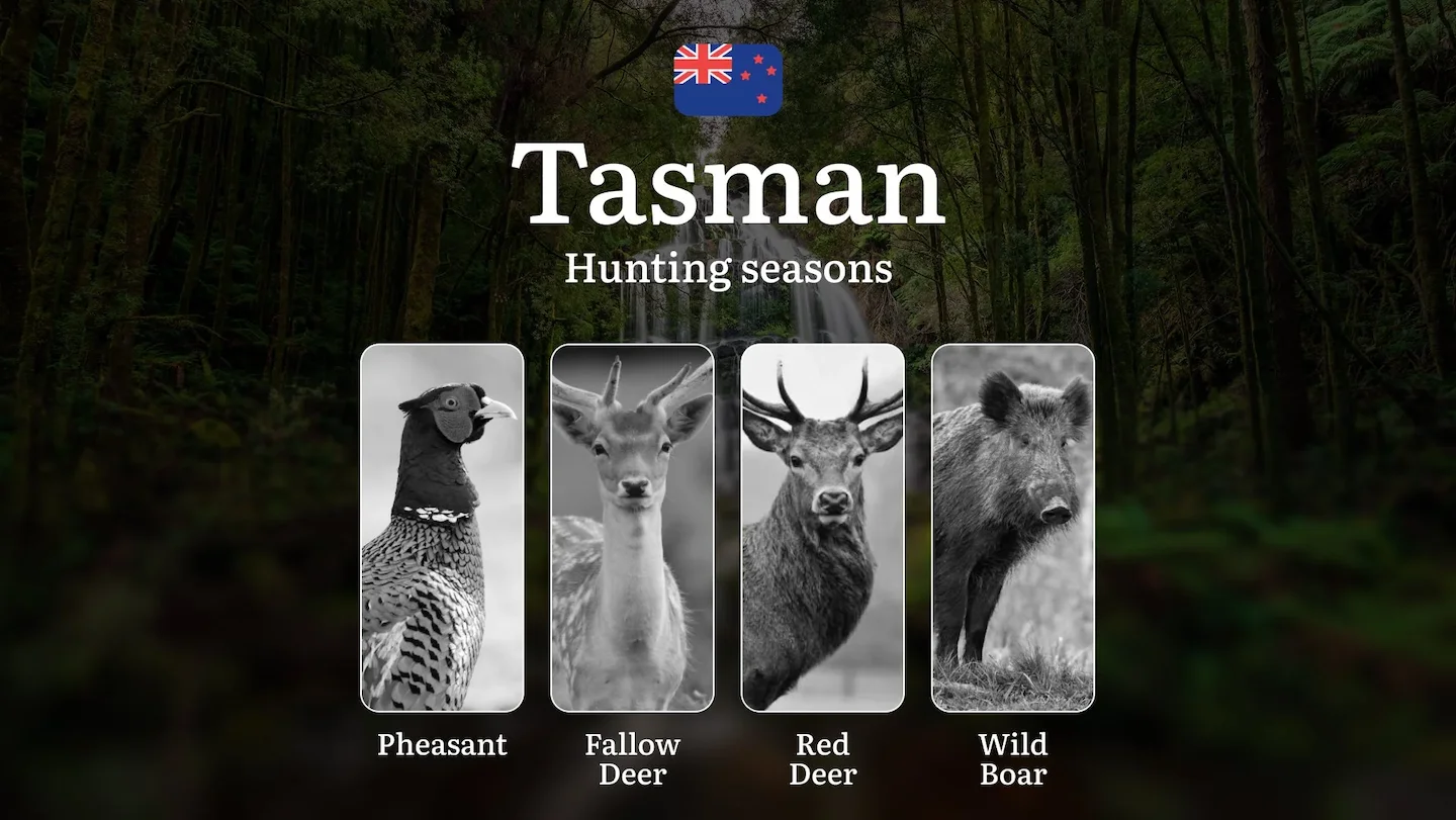 TASMAN Region, New Zealand: When, Where and How to Hunt Legally, Hunting Seasons, Consequences of Illegal Hunting, Docum…