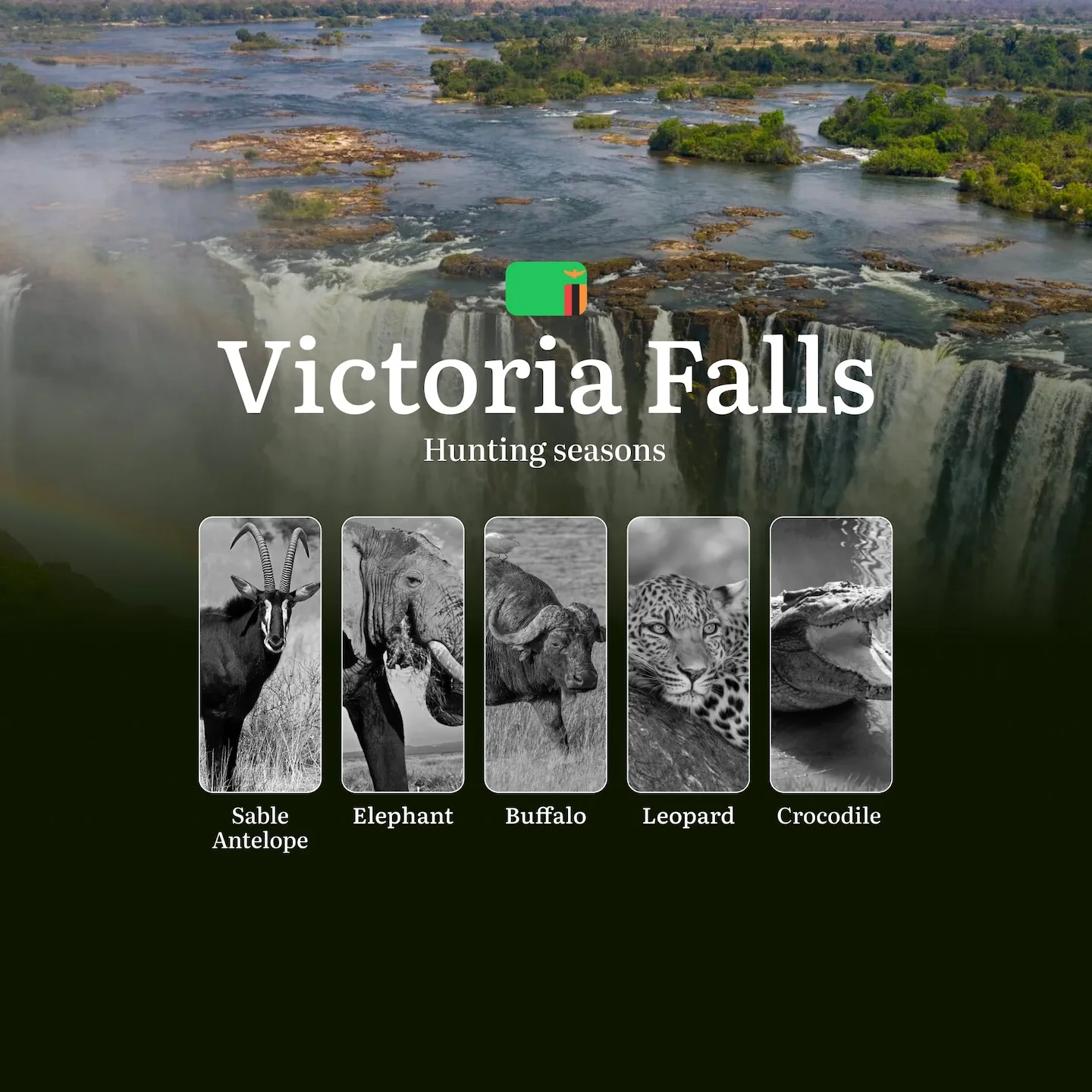Where the Smoke That Thunders Roars: Victoria Falls' Premier Hunting Seasons for Africa's Elite Trophies