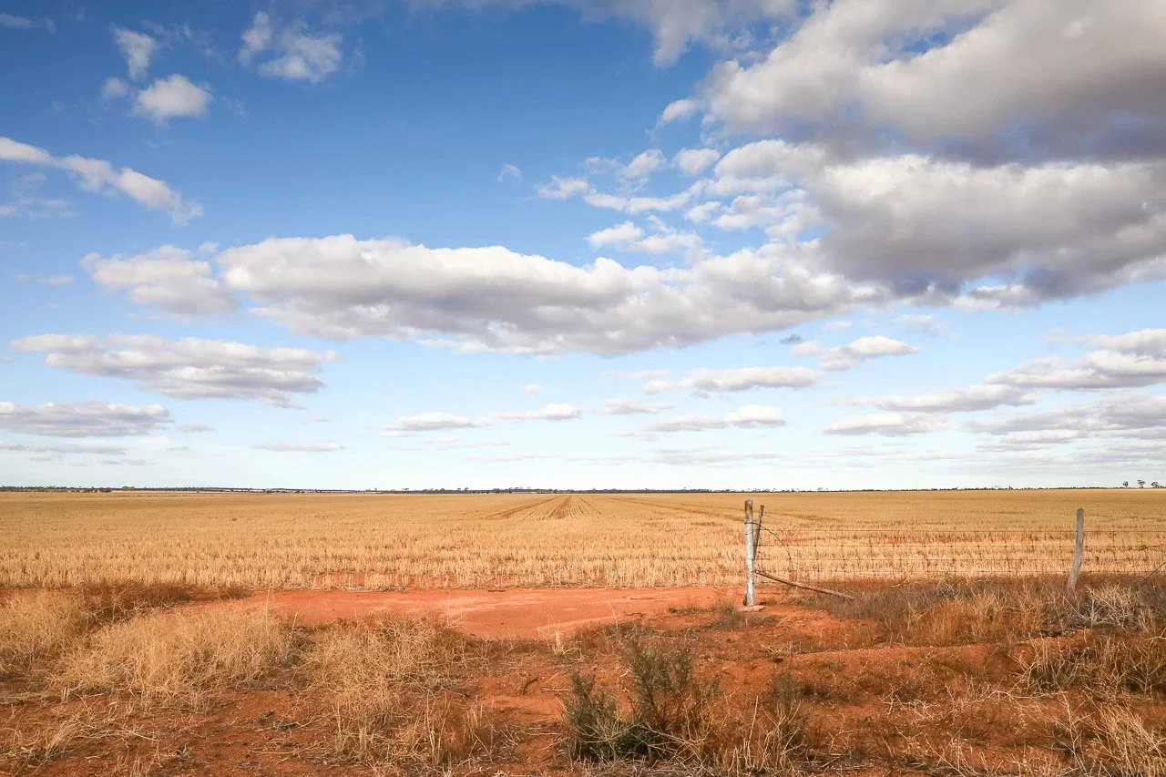 Wheatbelt Hunting WA: Types of Game and Their Natural Habitats, Demographics, Legislation System, Associations and Clubs…