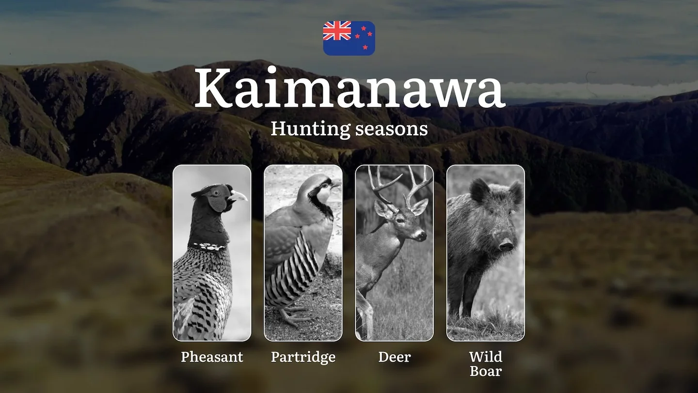 Hunting Seasons in New Zealand, Features of the KAIMANAWA Ranges Region: Rules and Seasonality of Hunting, Prohibitions…