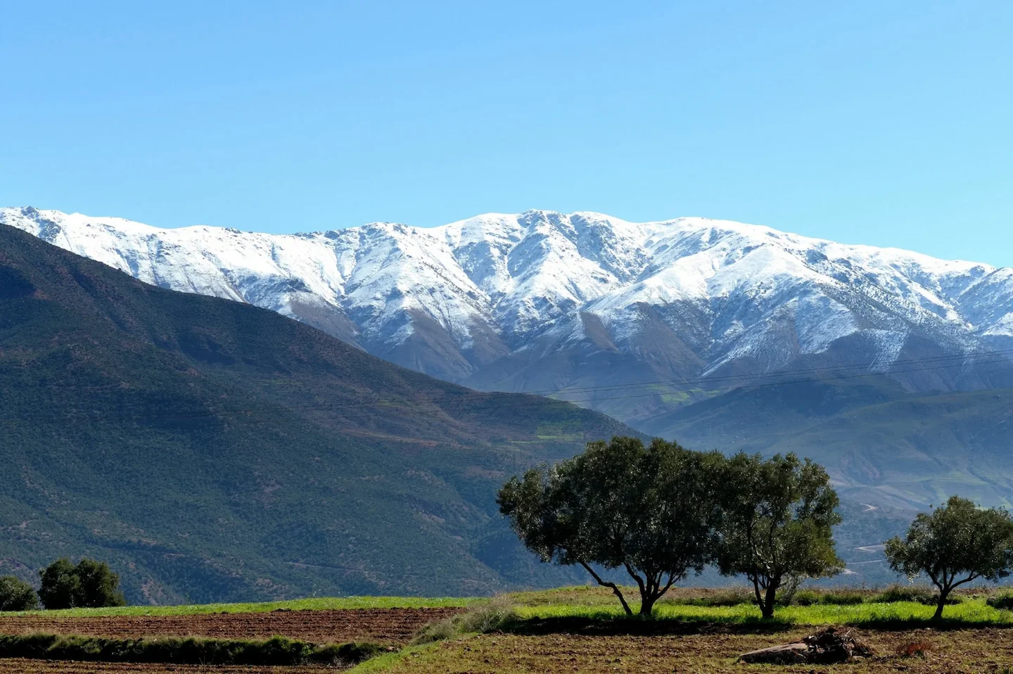 Toubkal National Park Access: Rules of Entry for Hunters and Nature Lovers