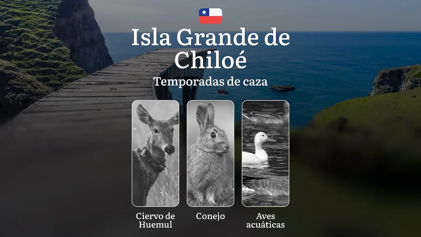 La Isla Grande de Chiloé, Chile: temporadas de caza, permisos, normativas y mejores épocas para la caza, restricciones y…