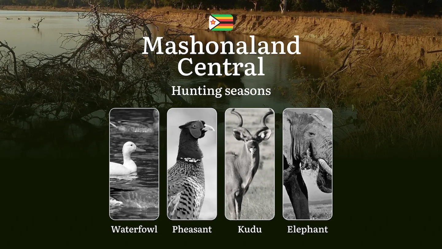 Hunting Seasons in Zimbabwe’s MASHONALAND CENTRAL: Hunting Seasonality, Licensing, Rules, Required Documents and Contact…