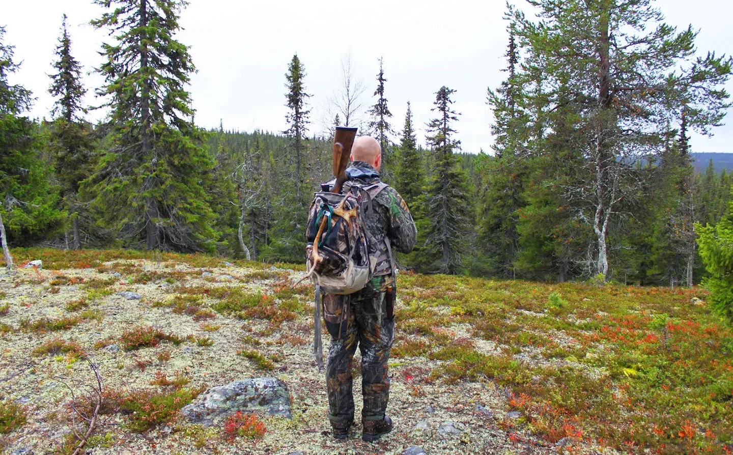 Joensuu Hunting: Exploring the Region’s Unique Geographical Features, Laws and Clubs, Game, and Legislation