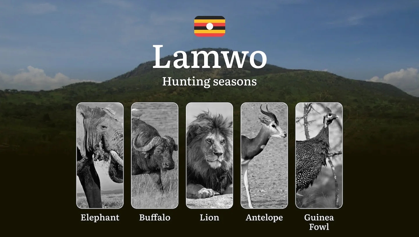 Hunting Season Dates in Lamwo: Regulatory Caps and Seasonal Closures, License Requirements, Penalties and Legal Outcomes…