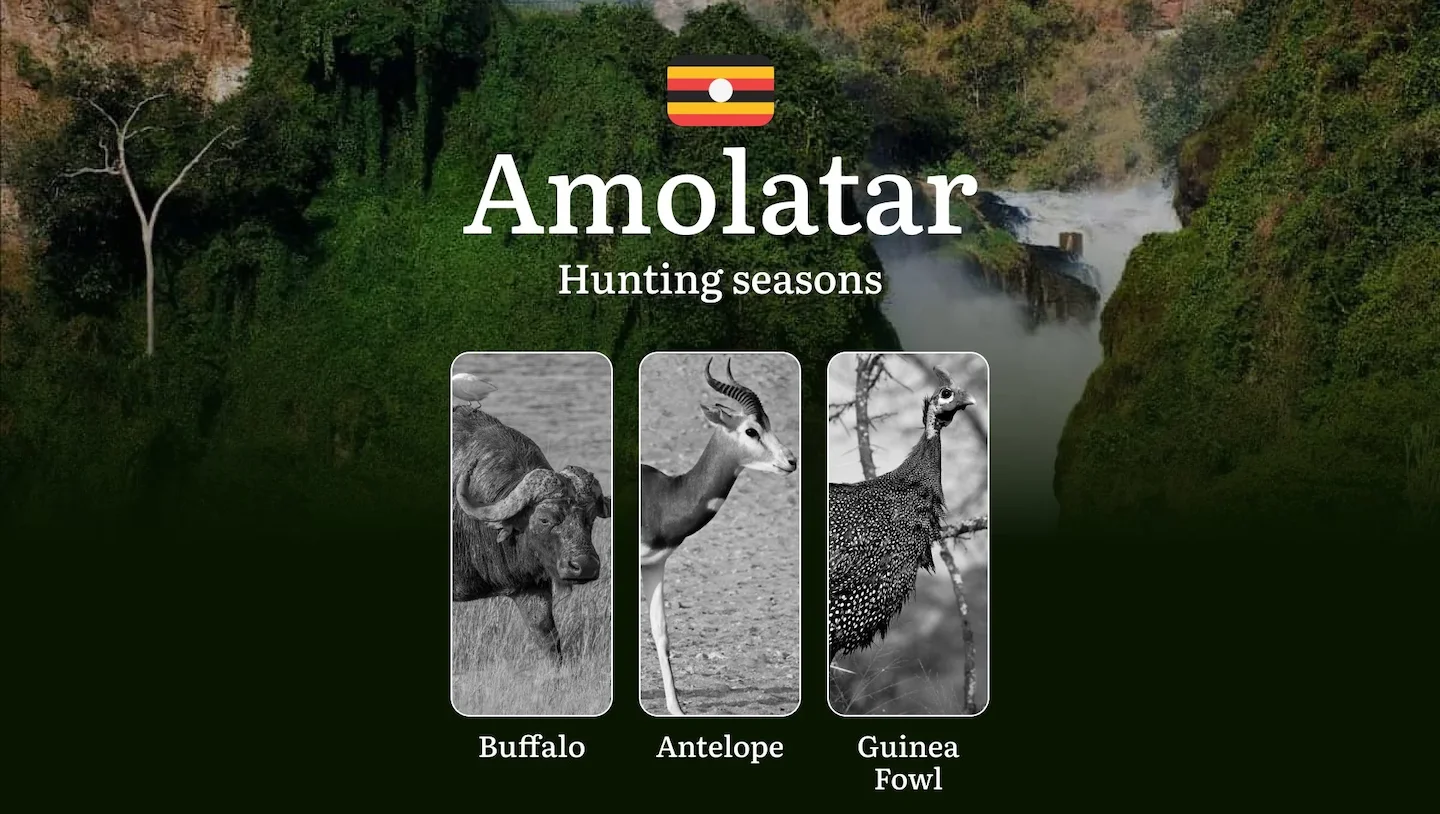 Hunting Date Ranges in Amolatar: Hunting Periods, Legal Limits and Seasonal Bans, Licensing Rules, Fines and Consequence…