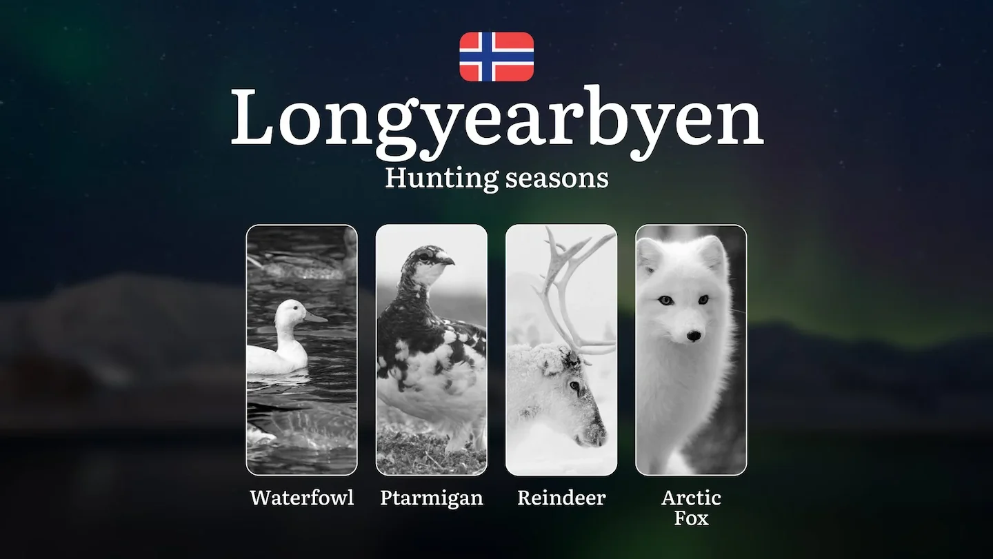 Hunting Seasons in Longyearbyen: Restrictions, Bans, and Protected Species, Choosing Timing, Gear, and Tactics
