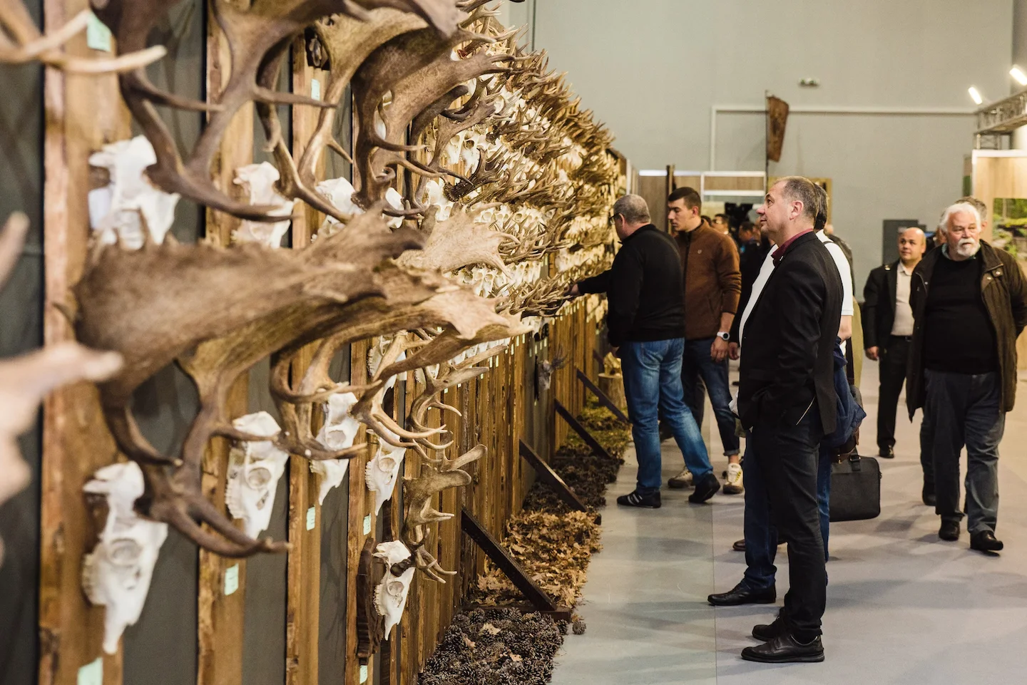 🌿 NATURE, HUNTING, FISHING, TOURISM-SPORT 2025