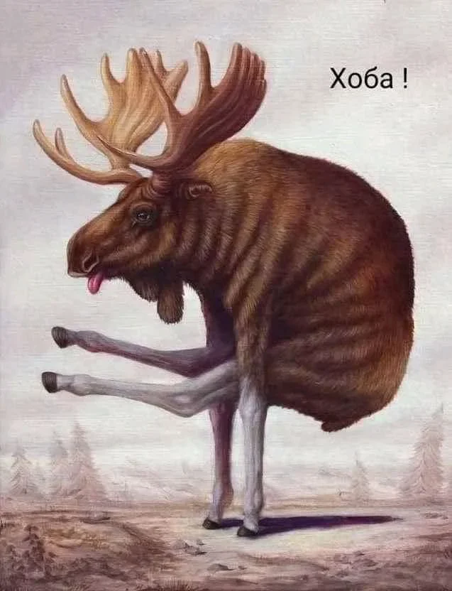Охота дикая добавил(-а) 1 фото
