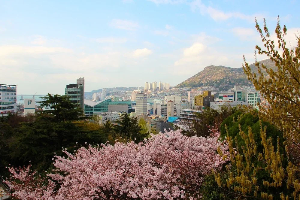 부산의 사냥 전통: 자연환경과 문화적 특성 탐구