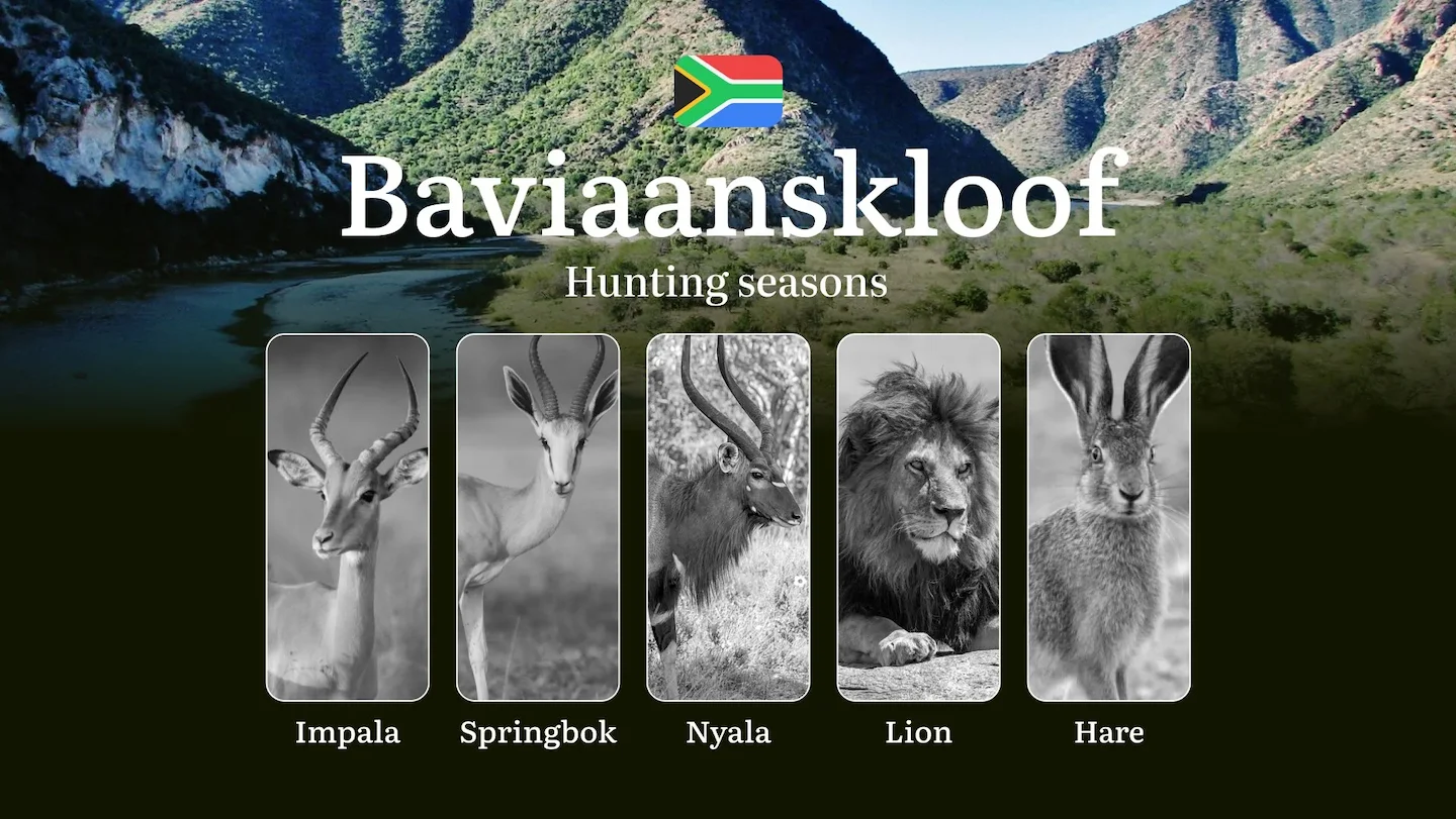 Hunting Dates in South Africa, Baviaanskloof Region: Hunting Periods and Timing, Licenses, and Hunting License