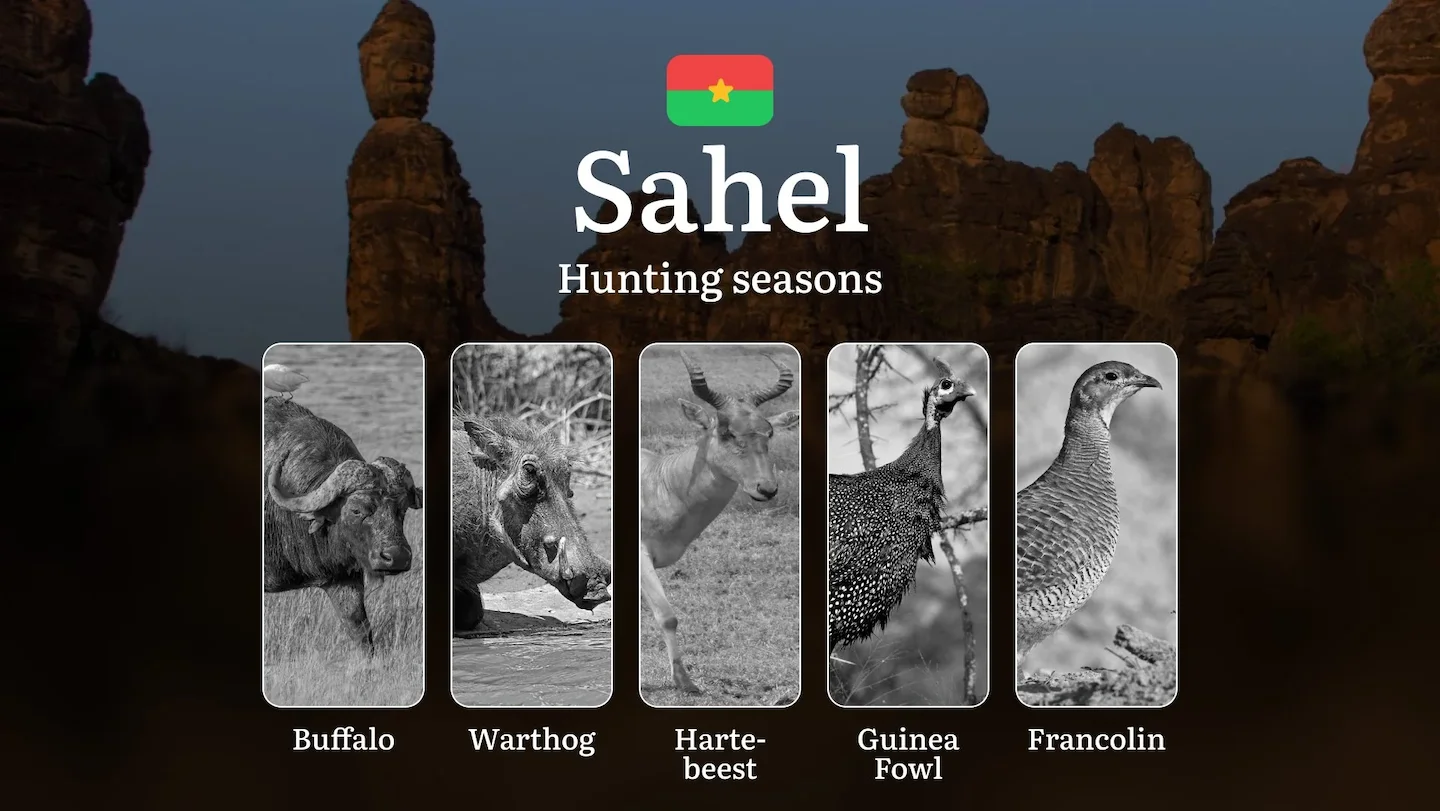 Hunting Seasons in Burkina Faso’s SAHEL: Main Hunting Periods, General Rules, Obtaining Hunting Licenses and Practical T…