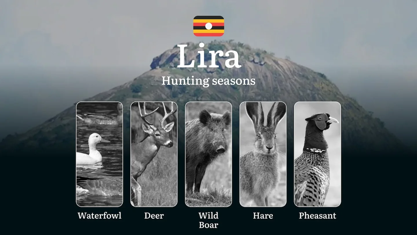 Hunting Access Dates in Lira: Key Hunting Periods, Restrictions, Licensing, Penalties, Gear, Locations, and Timing