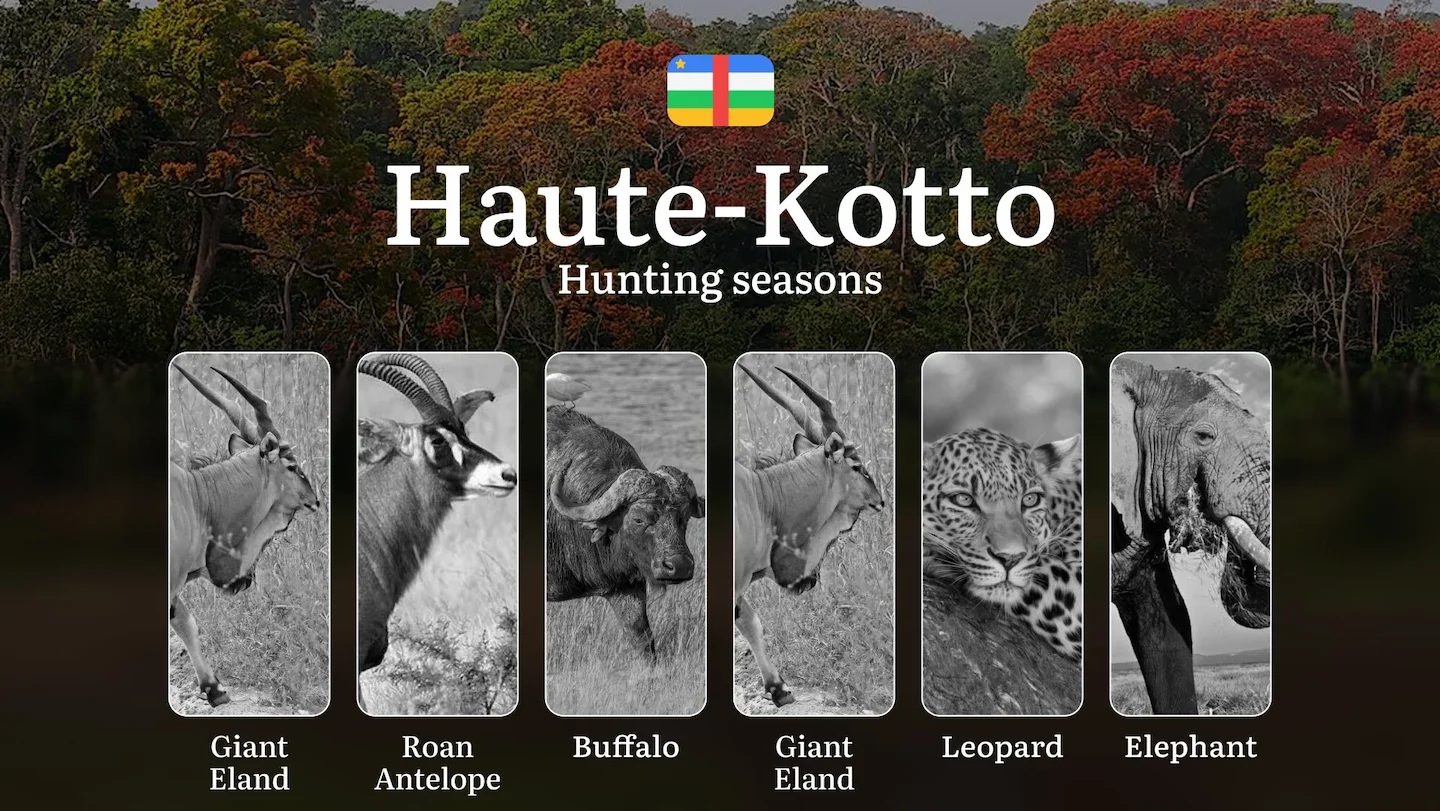 Hunting in Haute-Kotto: Understanding Hunting Calendar, Legal Permits and Restrictions, Local Hunting Traditions