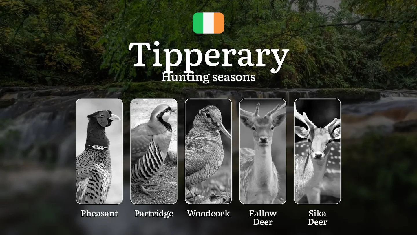 Hunting by the Calendar: Mastering Seasonal Timing and Terrain in County TIPPERARY