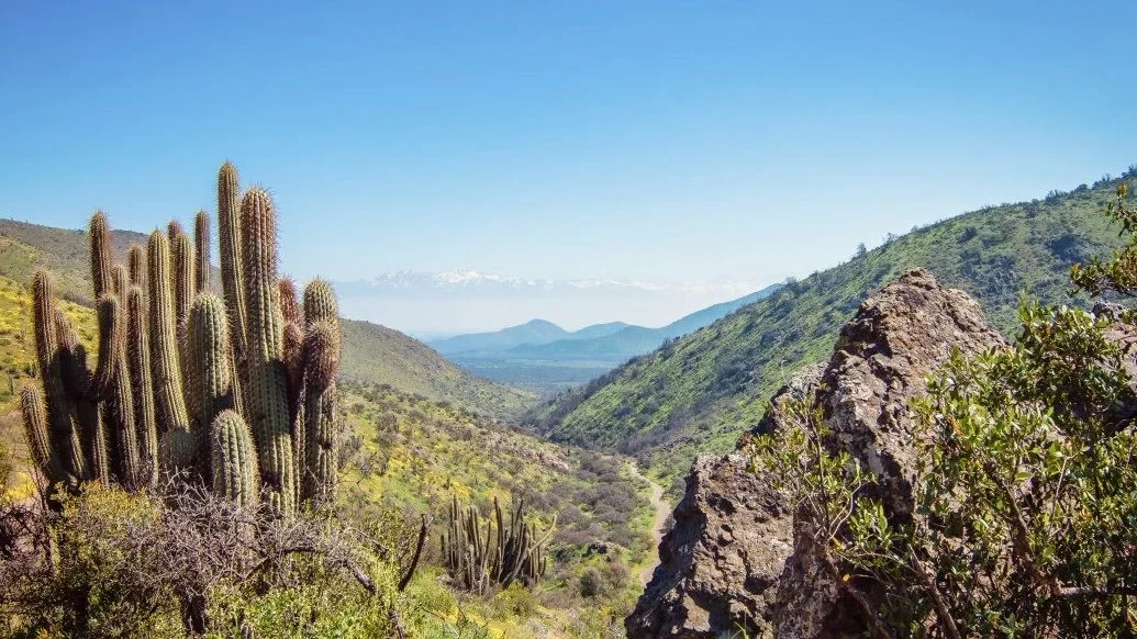Inauguran el primer Monumento Natural del nuevo Sistema Nacional de Áreas Protegidas en Chile