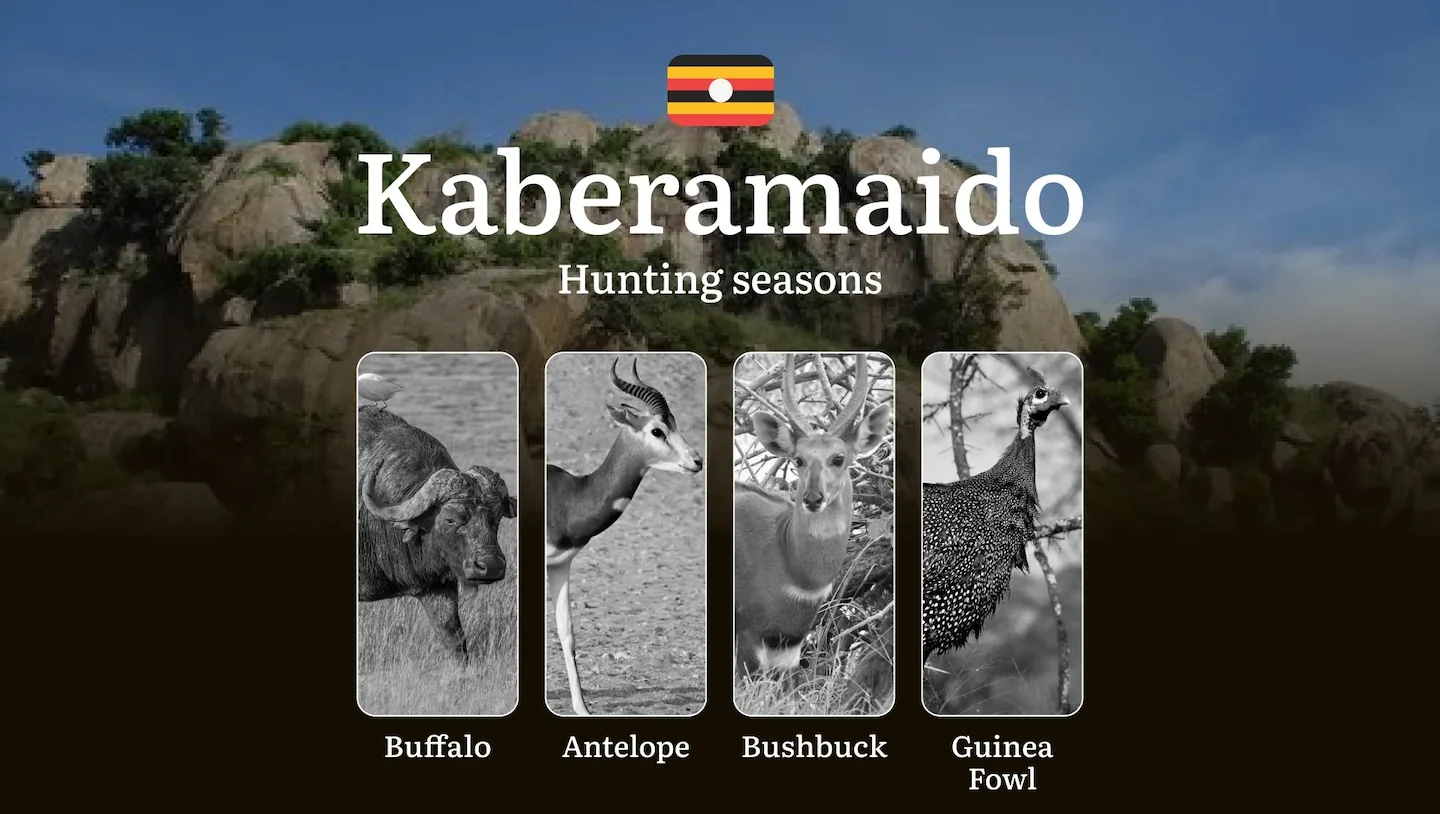 Scheduled Hunting Times in Kaberamaido: Area Regulations, Steps to Obtain a Hunting License, Sanctions for Breaching Hun…
