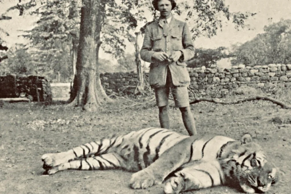 Champawat tigress story. Man-eating tiger that killed 436 people Real Photo: 1911 Nepal, Jim Corbett