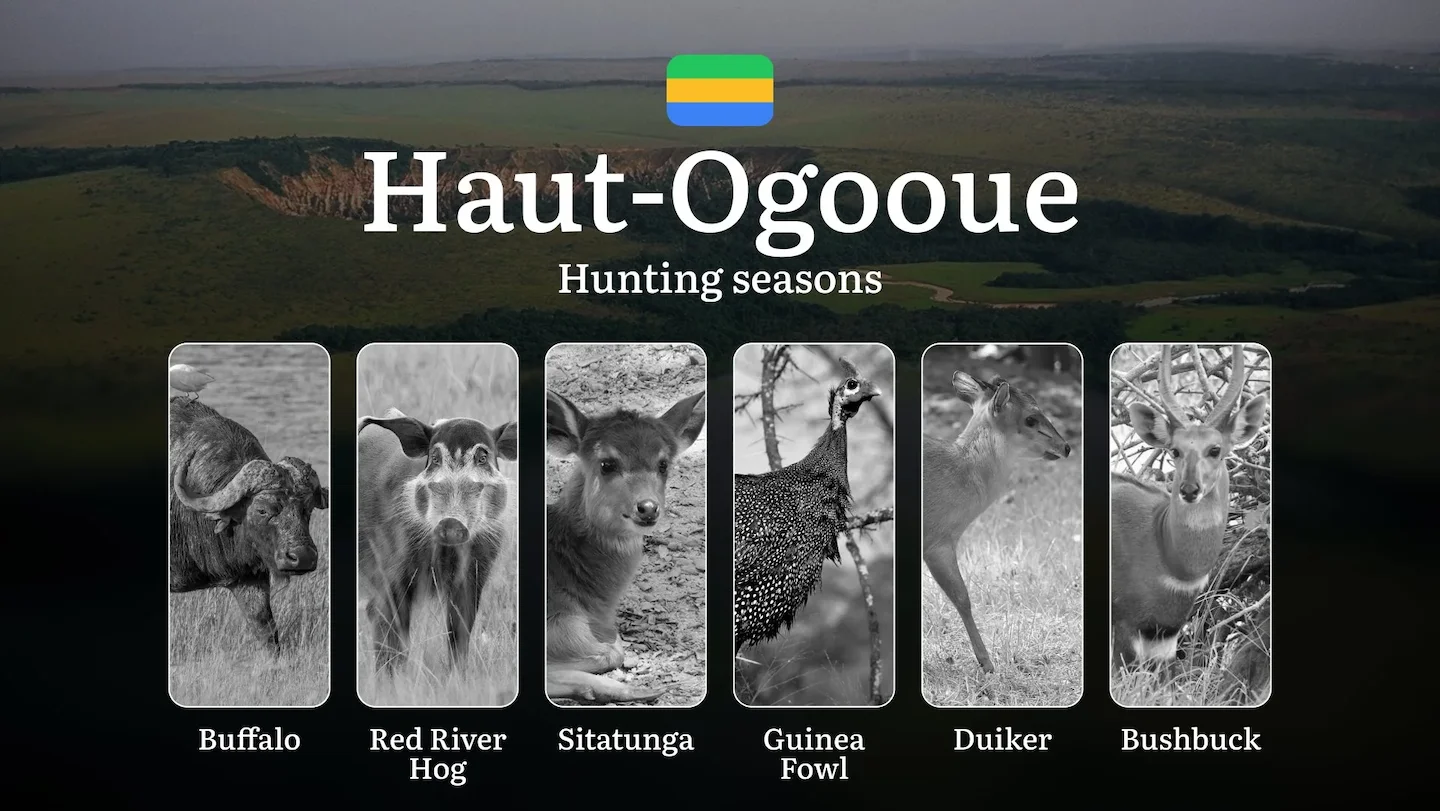 Hunting Seasons in HAUT-OGOOUÉ: Key Periods, Licensing Requirements, Smart Strategies, Restrictions and Conservation Mea…