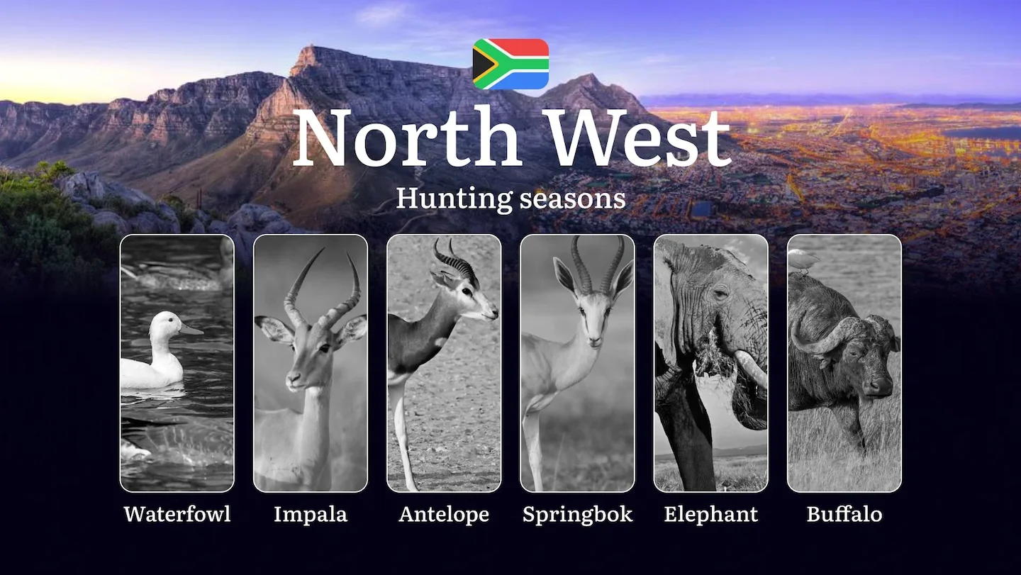 Hunting Seasons in South Africa’s North West Region: Seasonal Features of Hunting and Tactics for Hunters, Prohibitions…