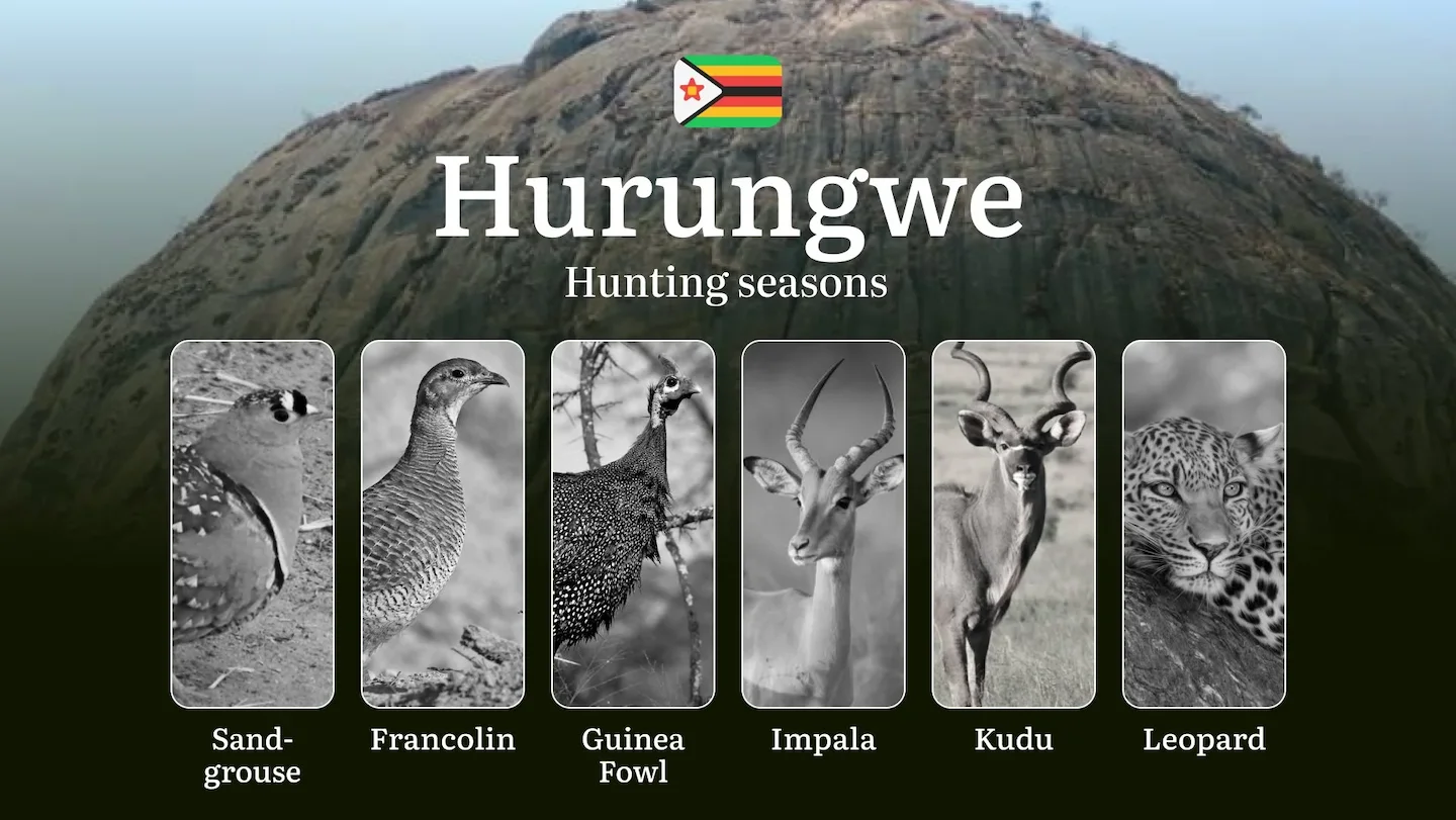 Dates of Hunting in Zimbabwe, HURUNGWE Region: Seasonal Patterns, Legal Restrictions and Hunting Bans, Practical Tips
