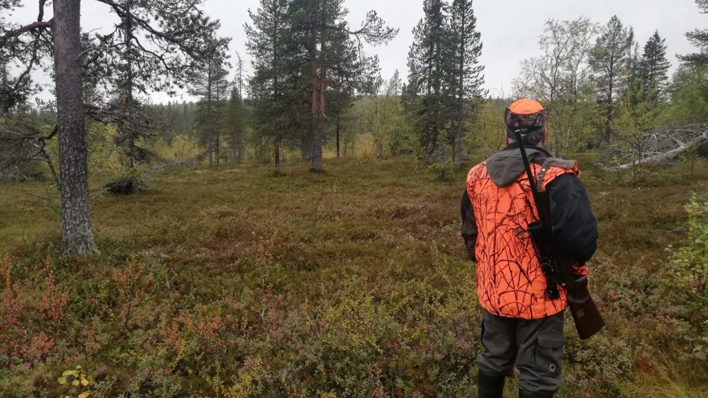 Uusimaa Hunting: Exploring Regional Specifics, Laws, Legislation, and Interesting Facts
