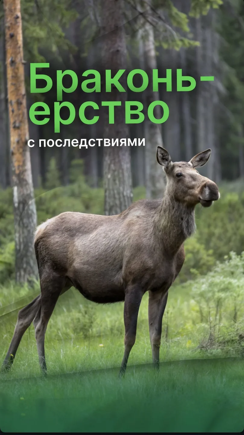 ecocity added 5 photo