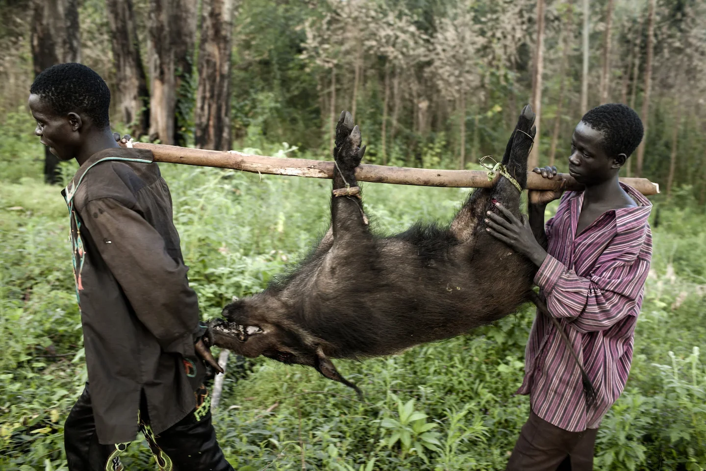 Hunting in Central Equatoria: Natural Terrain, Hunting Demographics, and Wildlife Variety