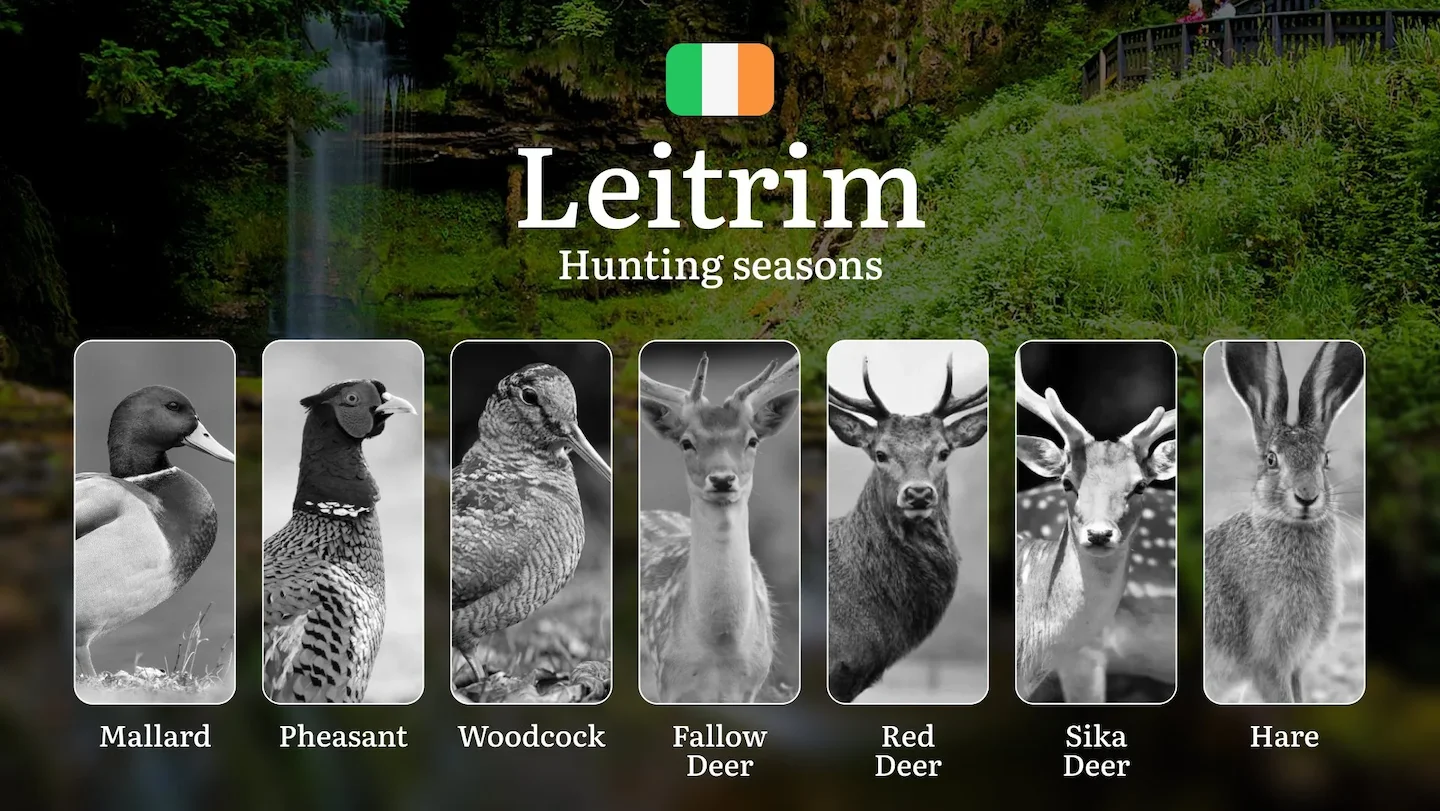LEITRIM'S Hunting Seasons Unveiled: Essential Dates, Licenses, and Prime Game Pursuits in Ireland's Hidden Wilderness