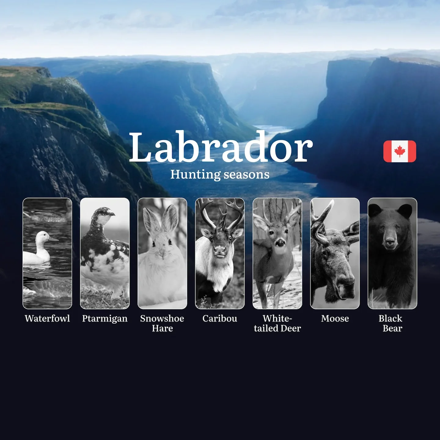 Labrador Date Hunting Seasons in LABRADOR: Opening and Closing Dates, Mandatory Lice ...
