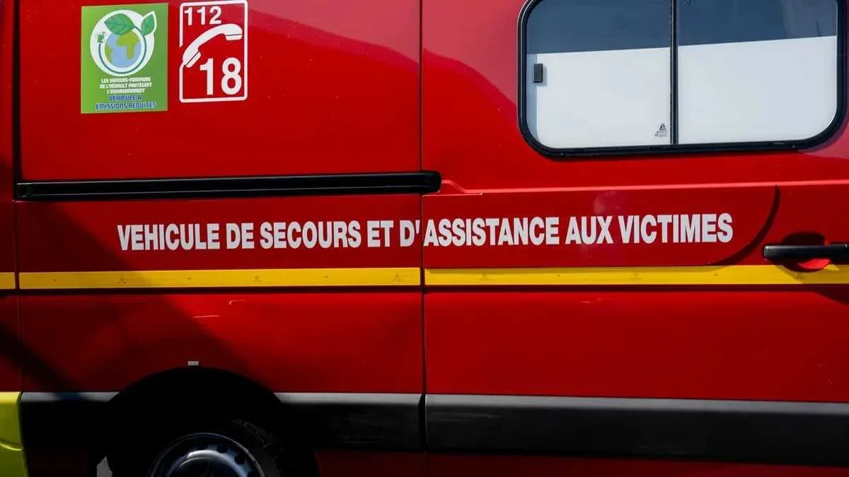 Aisne: un chasseur de 62 ans blessé à la cuisse lors d'une chasse aux sangliers