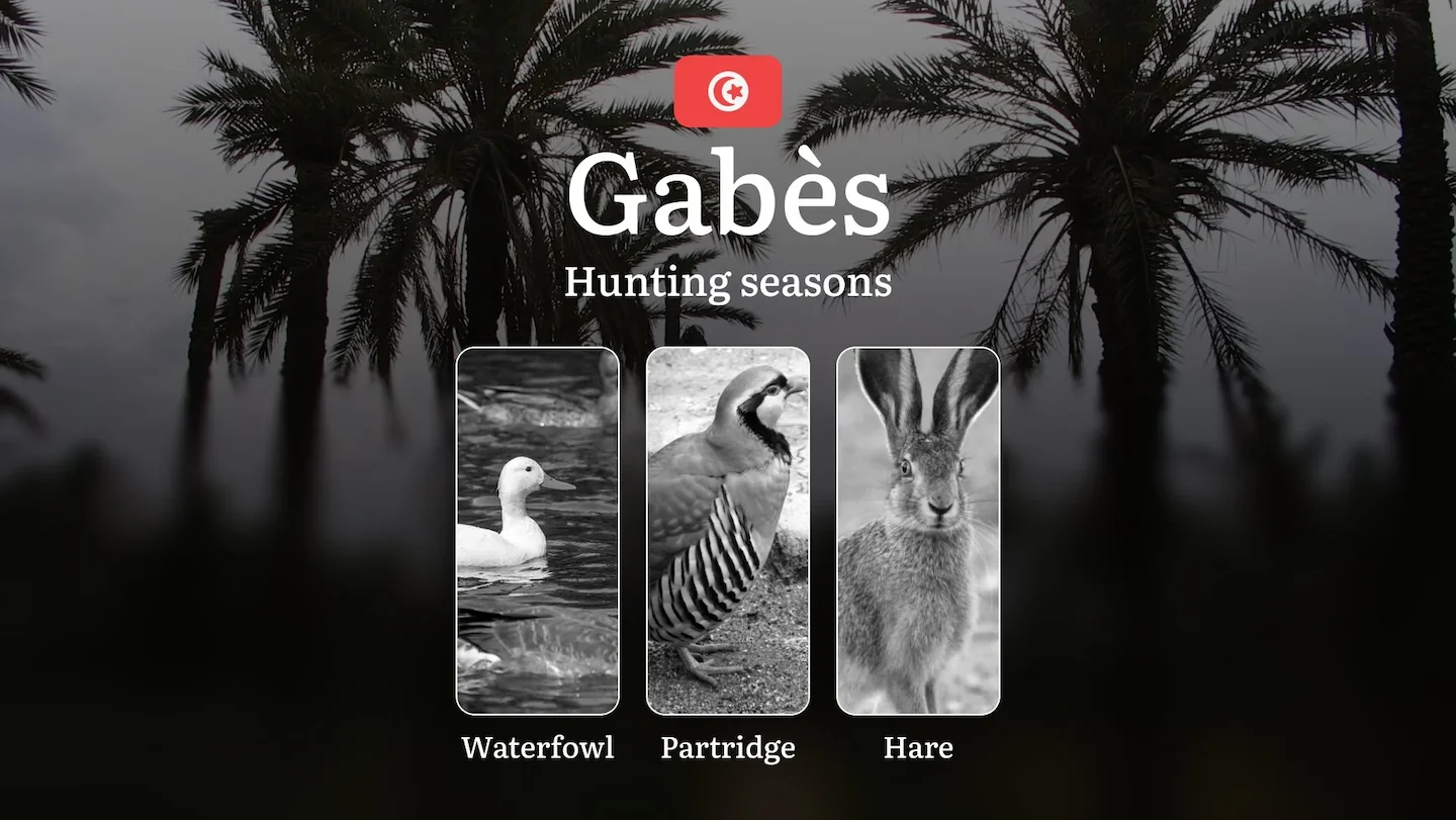 Hunting Seasons in GABÈS: General Rules, Optimal Hunting Periods, Protected Species, Licensing Requirements and Penaltie…