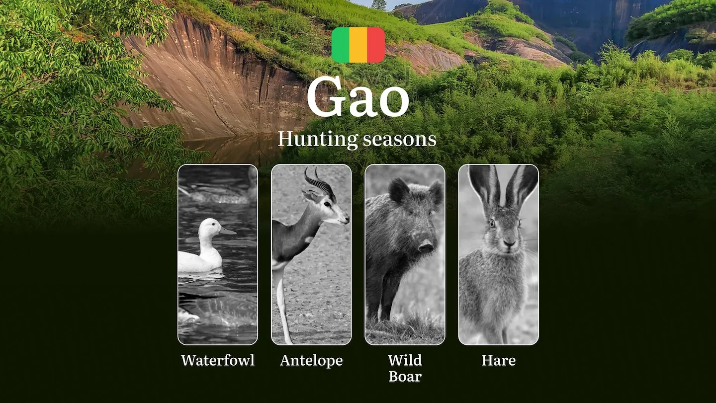 Gao: Official Hunting Periods, Legal Limits and Seasonal Bans, Licensing Requirements, Fines and Legal Consequences of N…