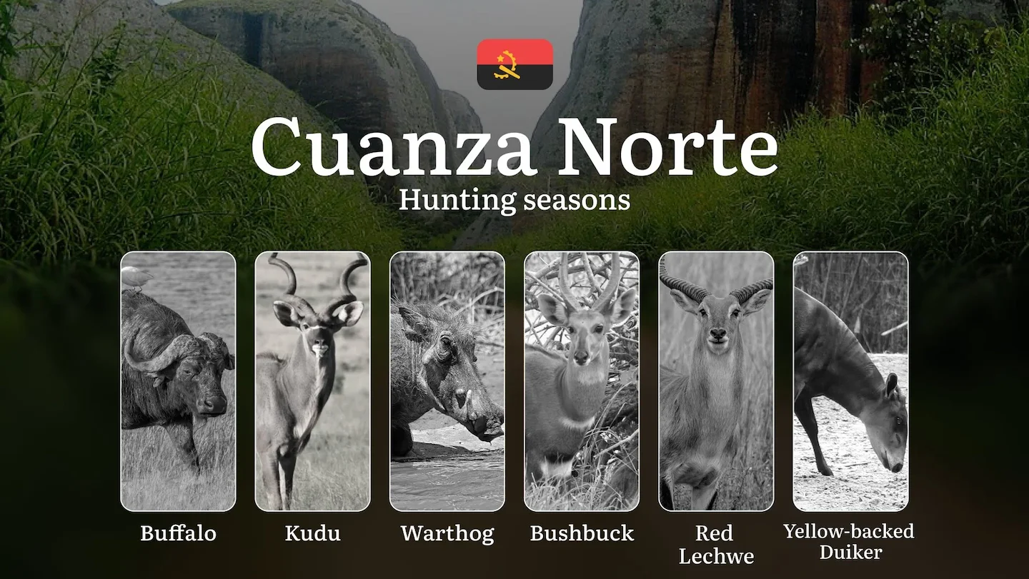 Hunting Laws and Seasons in Cuanza Norte: General Hunting Rules, Permits, Restrictions & Time-Honored Events