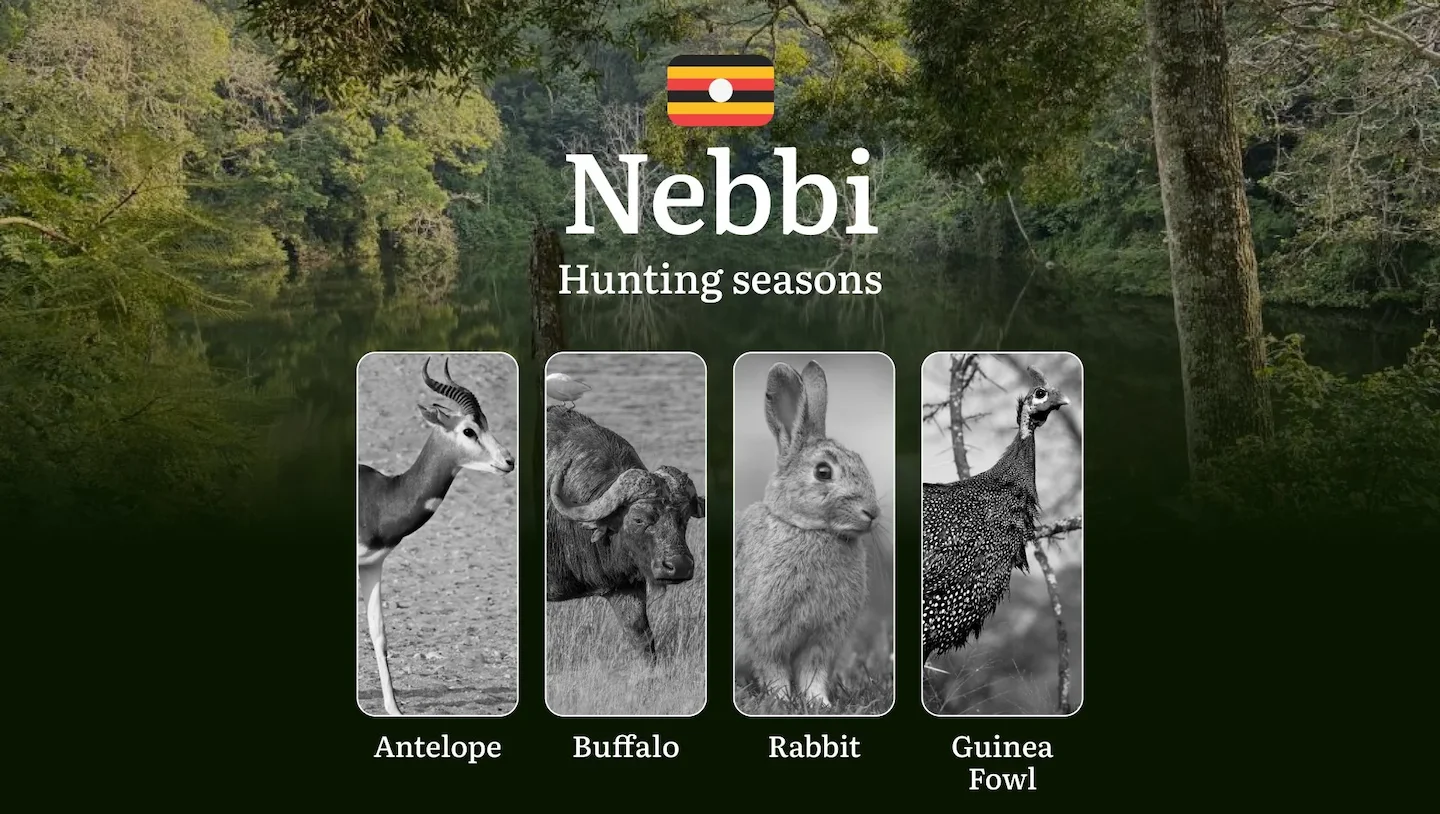 Hunting Date Ranges in Nebbi: Hunting Periods, Legal Limits and Seasonal Bans, Licensing Rules, Fines and Consequences,…