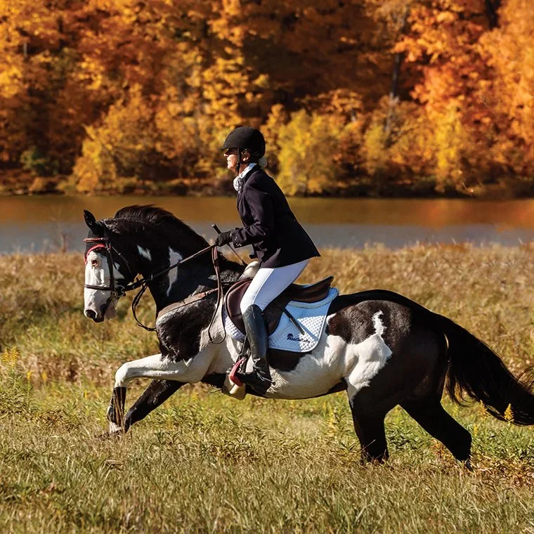 Experienced Trail Rider Dies After Fall During Heythrop Hunt: Inquest Confirms Accidental Death