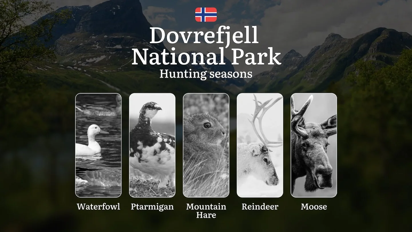 Hunting Dates in Dovrefjell National Park: Seasonality of Hunting, Timing and Regulations, Hunting Permits, Restrictions…