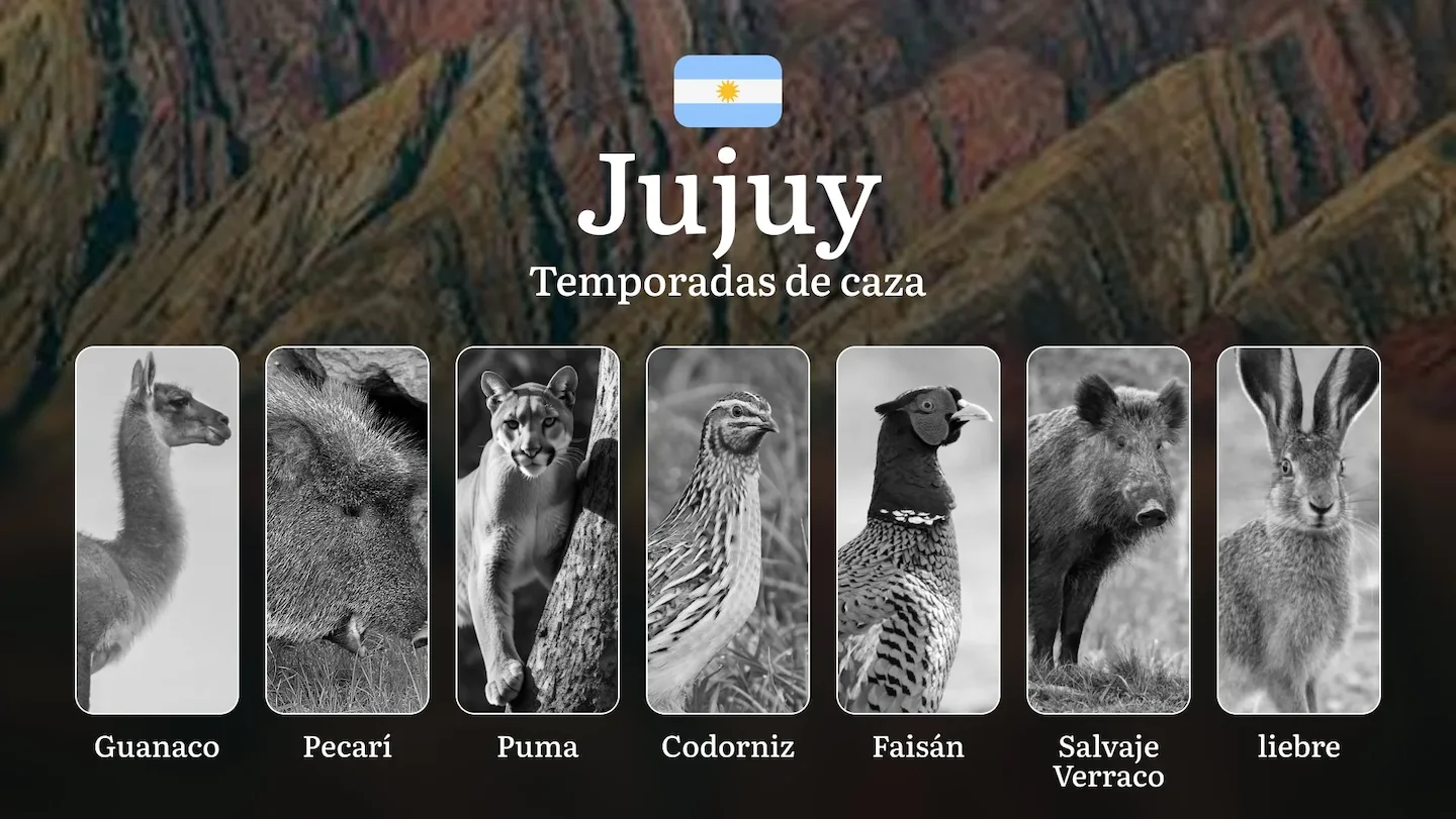 La provincia de Jujuy, Argentina: temporadas de caza, épocas, permisos, reglas y mejores momentos para cazar