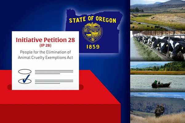 Oregon IP28 PEACE Act Explained: The Fight to Stop the Oregon Hunting Ban