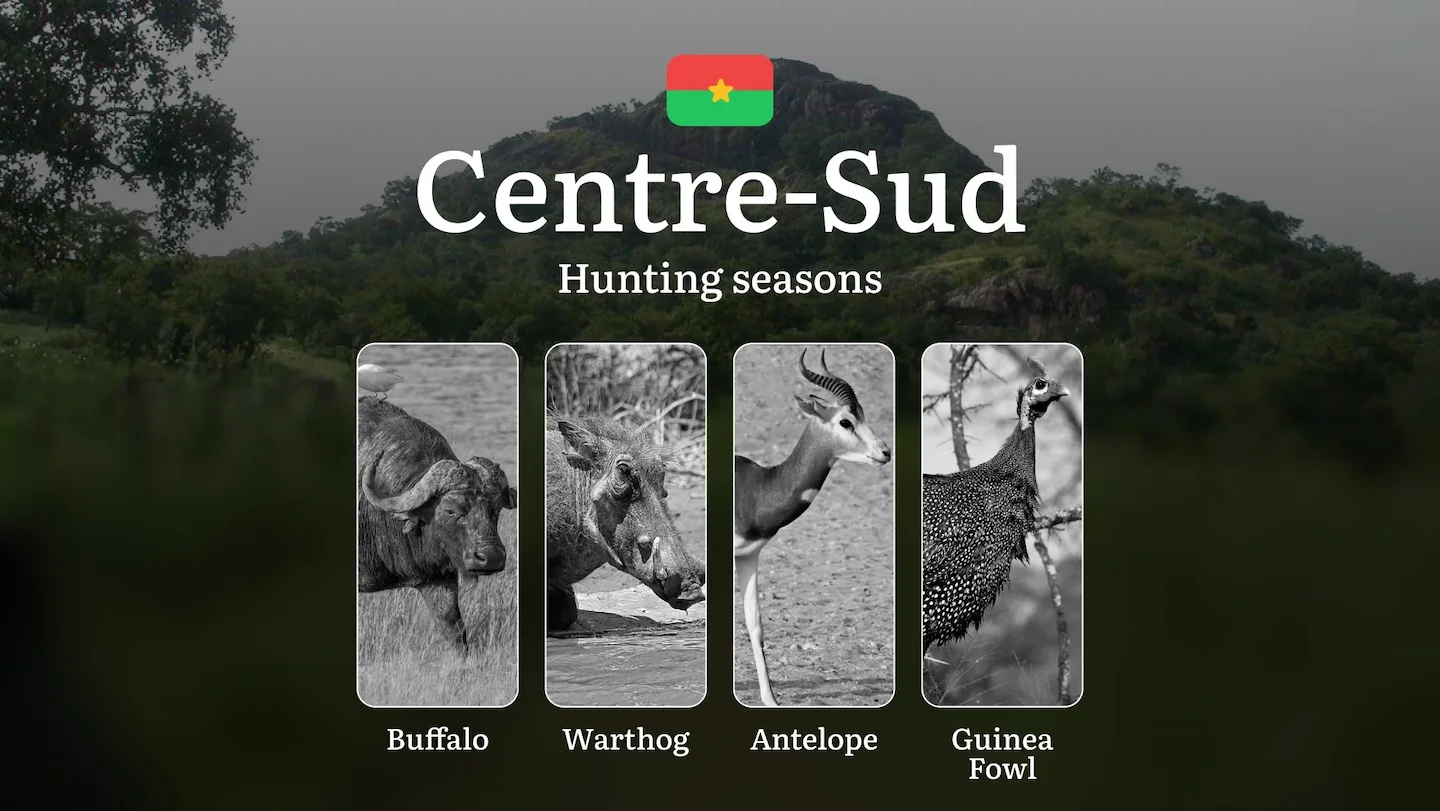 Hunting Seasons in CENTRE-SUD: Legal Requirements, Restrictions, Protected Species General Hunting Rules, Penalties for…